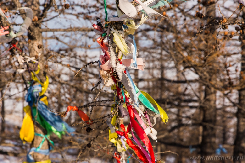 D04B8567.JPG - Colored ritual ribbons tied on the tree and wooden poles as a buddhist tradition on Baikal lake.
