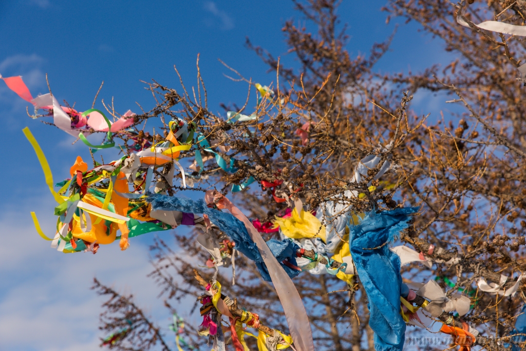 D04B8573.JPG - Colored ritual ribbons tied on the tree and wooden poles as a buddhist tradition on Baikal lake.