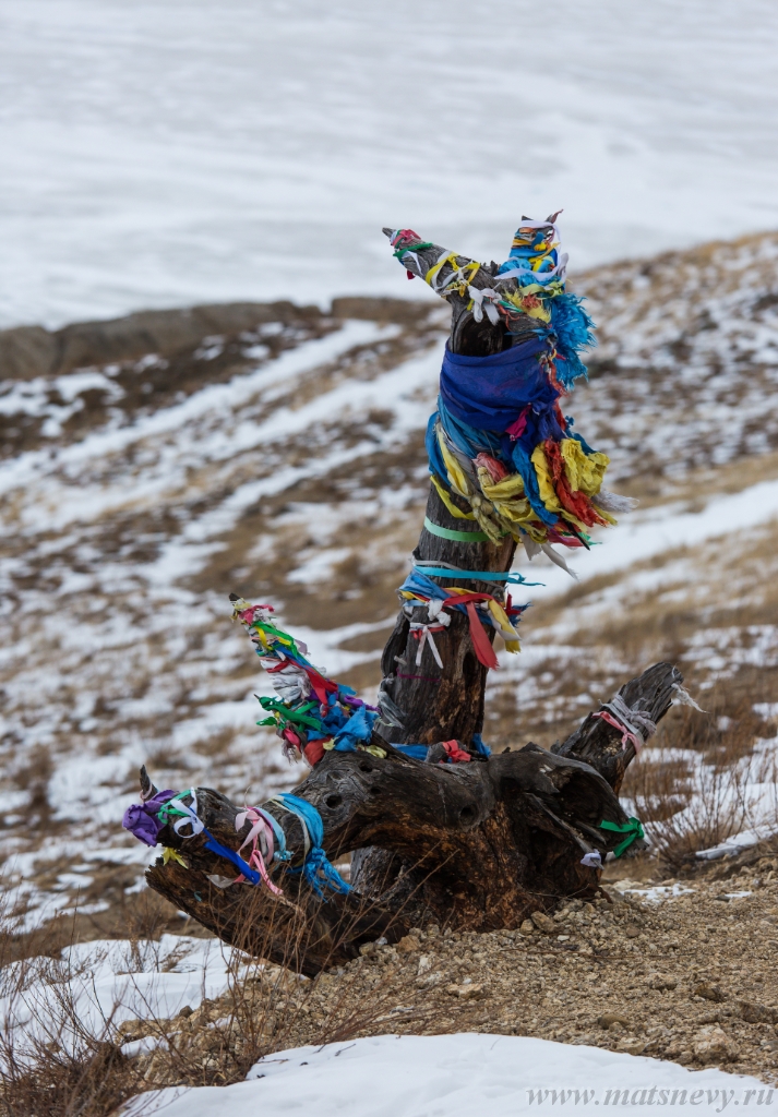 D04B8720.JPG - Colored ritual ribbons tied on the tree and wooden poles as a buddhist tradition on Baikal lake.