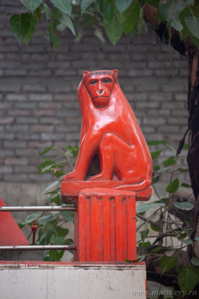 D04B0172.JPG