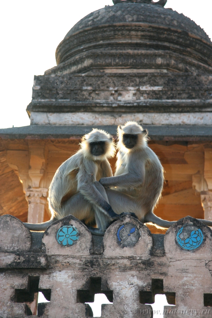 IMG_2010.jpg
