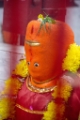 D04B9531