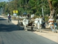 DSC06146