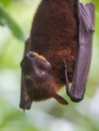 D04B8090