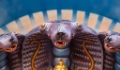 D04B8481