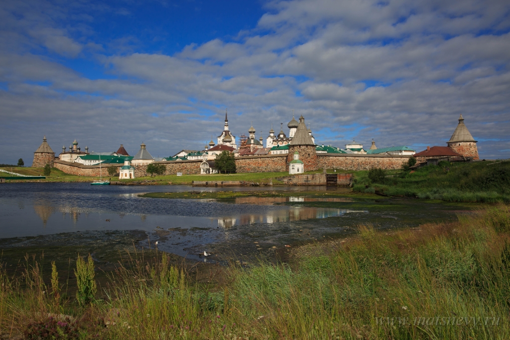 D04B0193.jpg