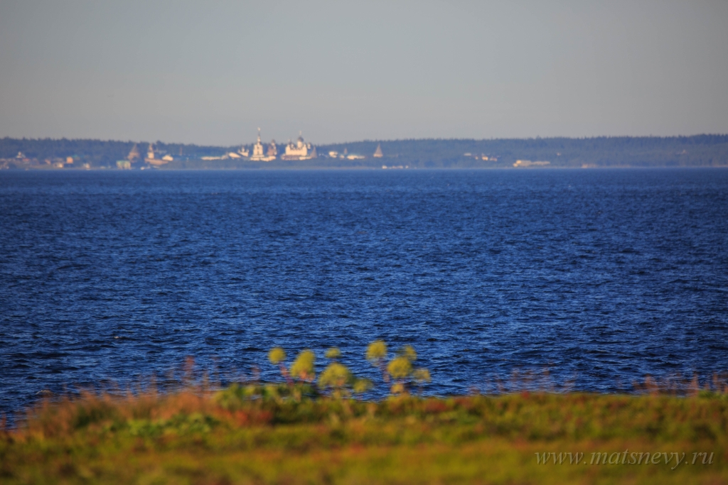 D04B0364.jpg