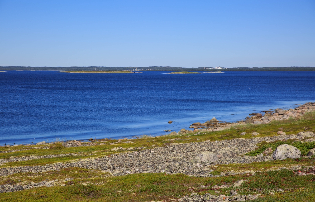 D04B0795.jpg