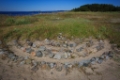 D04B0716