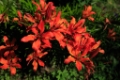 D04B0723