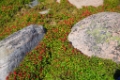 D04B0805